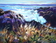 Late Light at Ucluelet