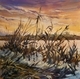 Late Light on the Fen