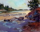 Late Sun at Cox Bay