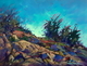 Late Sun at Duke Point, study