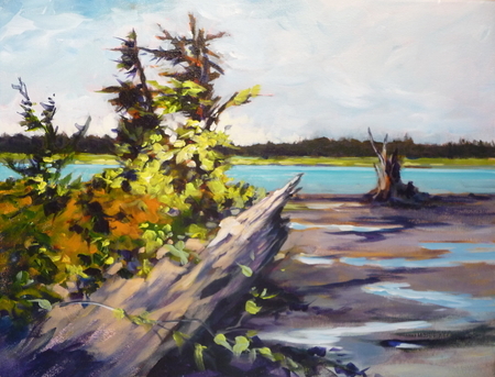 Low Tide, Haida Gwaii