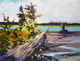 Low Tide, Haida Gwaii