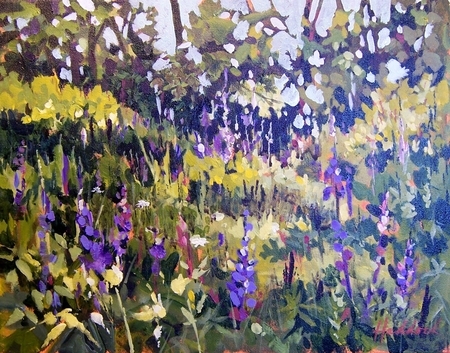 Lupin Meadow, Campbell Valley Park