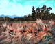 March Toward Spring