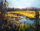 Marsh Reflections