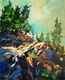 Meadow Ridge