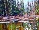 Morning Reflections