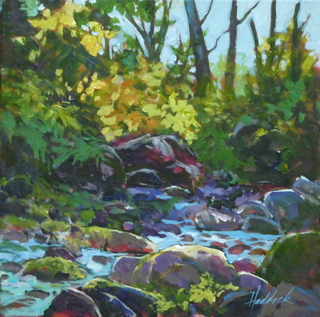 Mosses and Mysteries