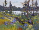 No Name Lake