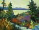 Okanagan Overlook