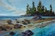 Pacific Spirit