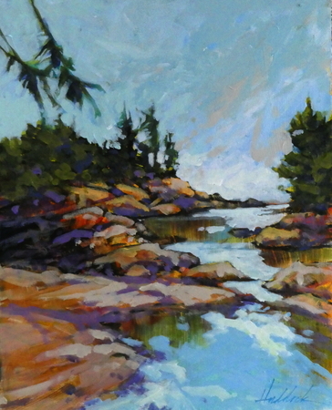 Placid Reflections