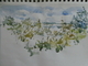 Plein air Aug 5, 2020