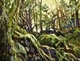 Puzzlewood, Forest of Dean