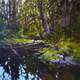 Reflections, Haida Gwaii