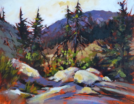 Rest Stop, Duffy Lake Road