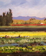 Rich Soil