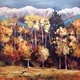 Rocky Mountain Jewels