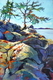 Rocky Overlook