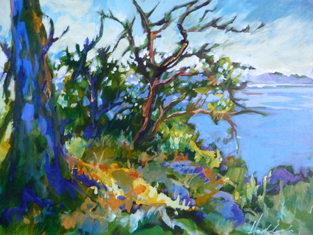 Salish Overlook