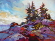 Salish Summer