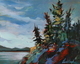 Salish Twilight