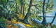 Salish Vista