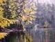 Sasamat Lake 1
