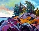 Saturna Rock Concert