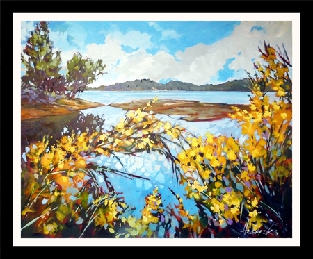 Saturna Splendour