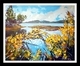 Saturna Splendour