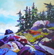 Saturna Summer