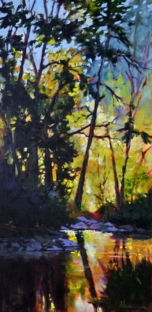 Shade in the Canyon