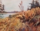 Shore Grasses, Roberts Creek