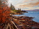 Shoreline Puzzle