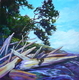 Shoreline Shuffle