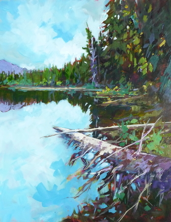 Shoreline, Twenty Minute Lake