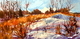 Snowpatch Sparkle