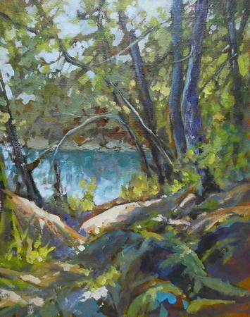 Sooke Study #1