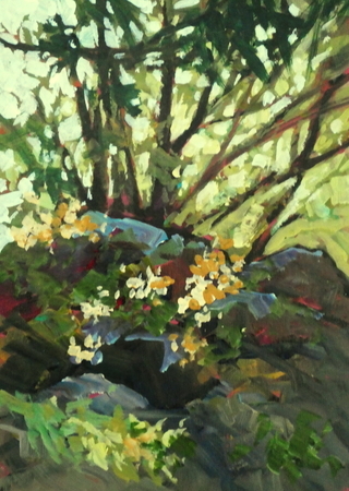 Sooke Study 2