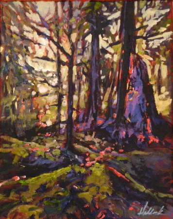 Spirit Woods