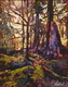 Spirit Woods