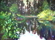 Spring Reflections, Mission Creek Park