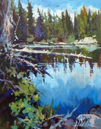 Still Reflections