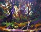 Summer, Haida Gwaii