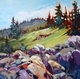 Summer in the Alpine