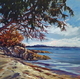 Summer Light, Salt Spring
