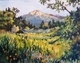 Summer Meadow, Santa Barbara