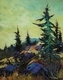 Summit Colours