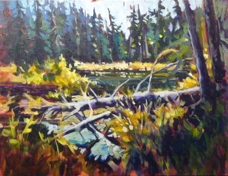 Tangled Pond, Manning Park